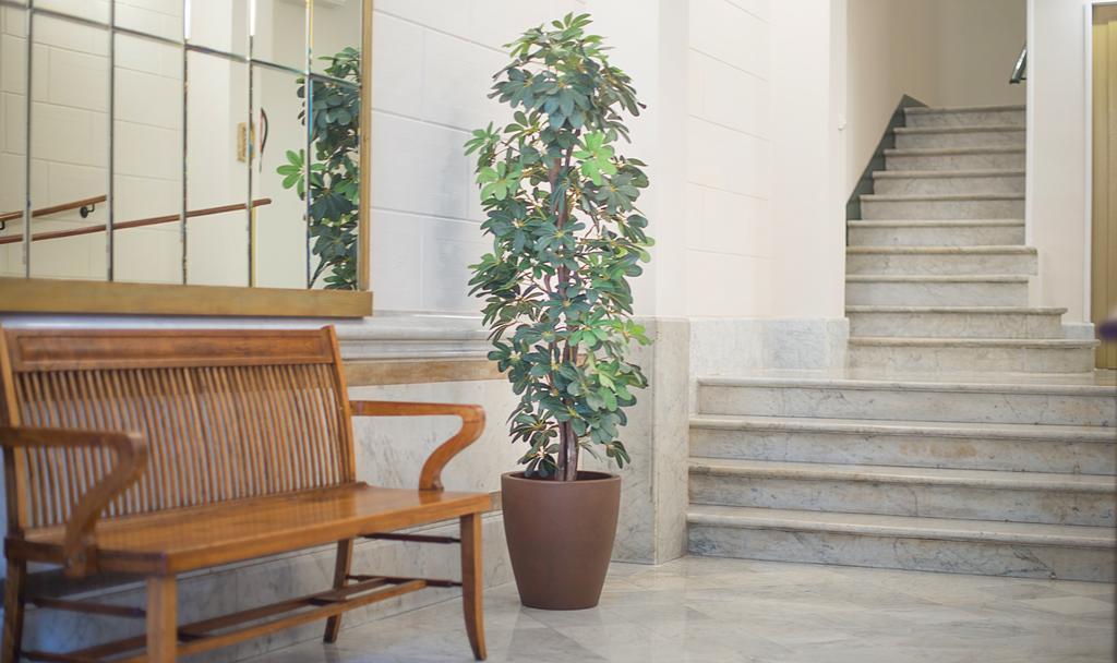 ברצלונה Anakena House Bed & Breakfast מראה חיצוני תמונה